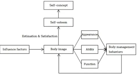 Figure  2.  Body  image  formation  model  of  adolescents도에 의해 정서적으로 평가되고,  이때 형성된 신체이미지는 신체존중감으로  이어진다