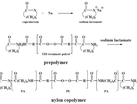 Figure 1. Reaction route of the polymerization of nylon elastomer and its structure데,  상업적으로  성공한  방법으로는  1982년  DSM사에서 