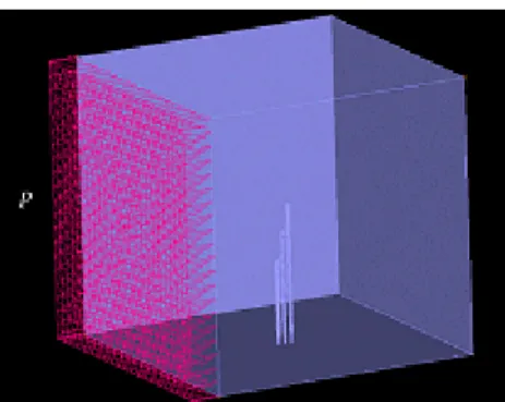 Figure 1. Schematic view of Stereocilia.