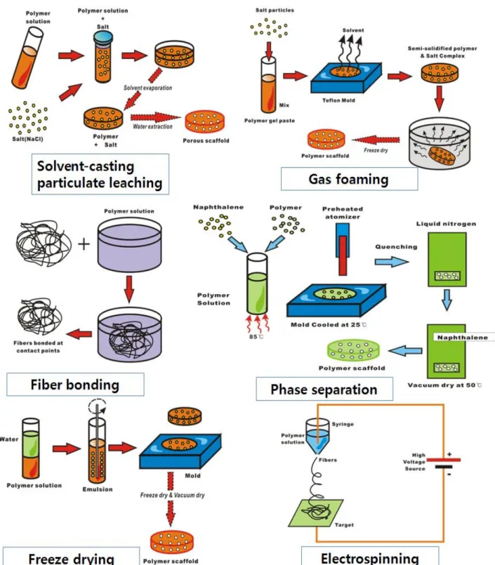 Figure 1. Conventional methods for scaffold fabrication.