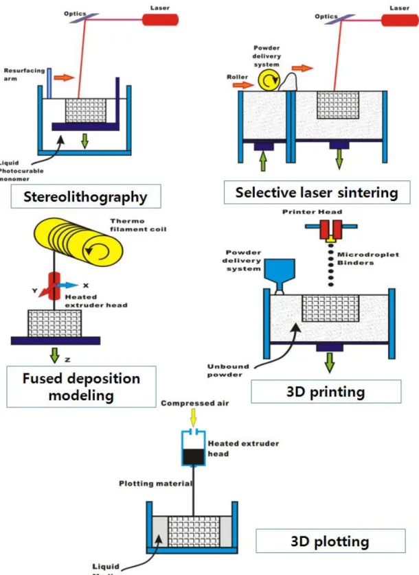 Figure 2. Solid freeform fabrication (SFF) for scaffold fabrication.
