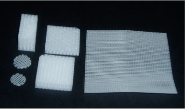 Figure 4. PCL scaffold by bioplotting system.