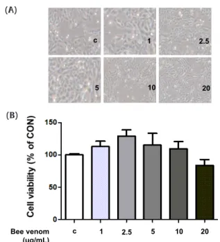 Fig. 6. Effects of BV on expression of p-p38, p38, p-JNK, and JNK in activated  macrophages