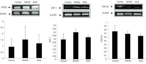 Fig. 6. Changes of AST and ALT in the alopecia model of C57BL/6 mouse.