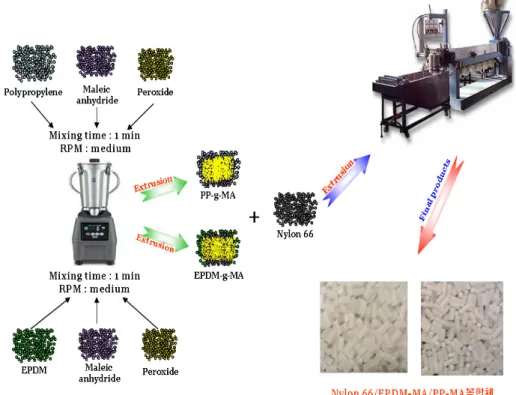 Figure 2. Manufacturing process for PP-g-MA, EPDM-g-MA and Nylon 66/EPDM composites.    각각의 복합체의 제조 방법은 먼저 PP와 MA를 믹서에 넣고 1분간 혼합한 후 peroxide(PERPHXEY 25B)를 넣어 다시 믹서에 1분간 혼합하고 압출 작업으로 PP-g-MA를 제조하였다