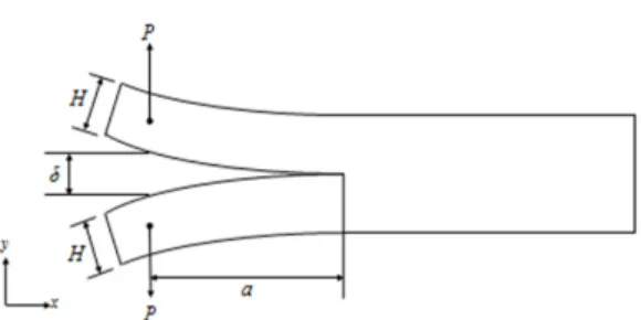 Fig. 3. Schematic diagram of DCB tests.