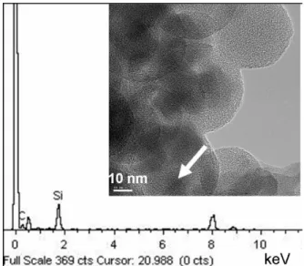 Figure 6. (a and b) TEM images of silica/PS composite nano- nano-particles.