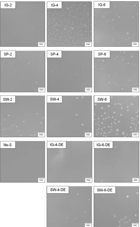 Figure 8. Micro-CT images of the test samples.