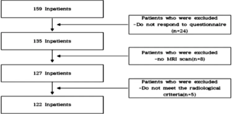 Fig. 1. Flowchart showing how patients were selected for inclusion.