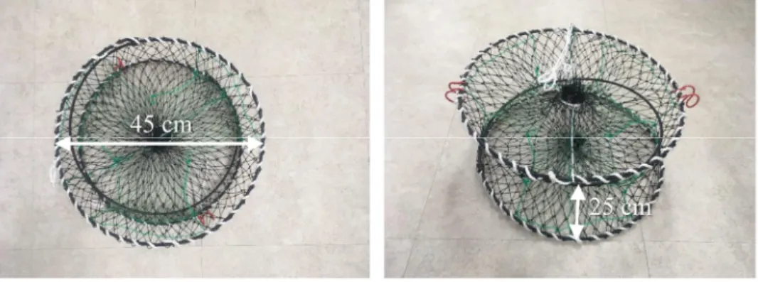 Fig. 1. Drum-shaped net pot for a finely-striate using in the eastern coastal waters of Korea.