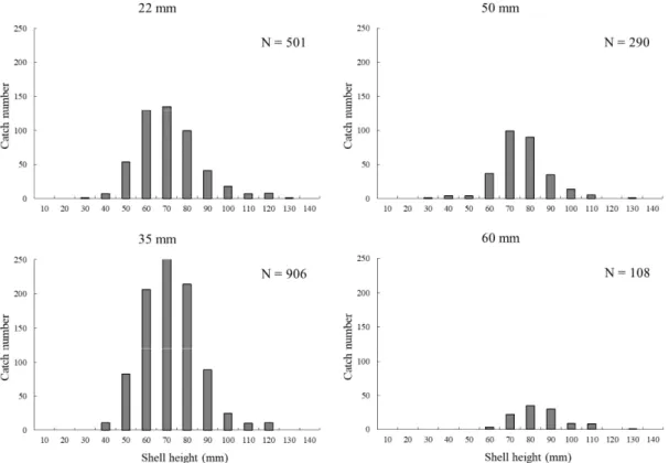 Fig. 6. Distributions of shell height for finely-striate buccinum caught by experimental net pots