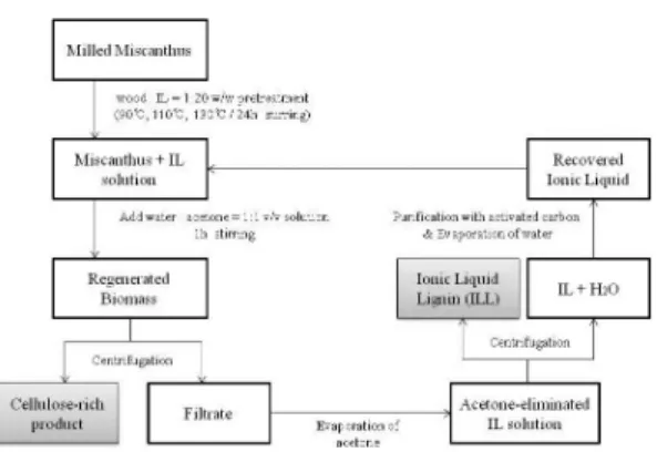Fig. 1. Diagram of ionic liquid pretreatment of giant  miscanthus.