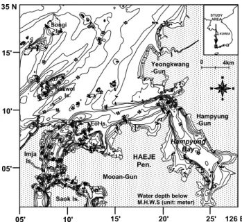 Fig. 1. Bottom topography of the study area. Contour numbers show depth (m). 