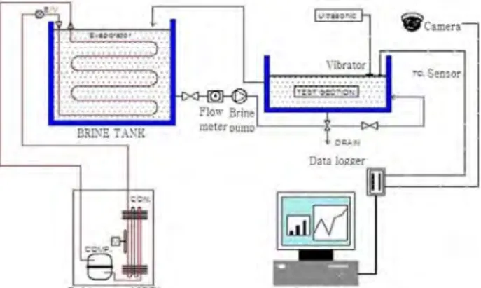 Figure  1:  Schematic  diagram  of  experimental  apparatus