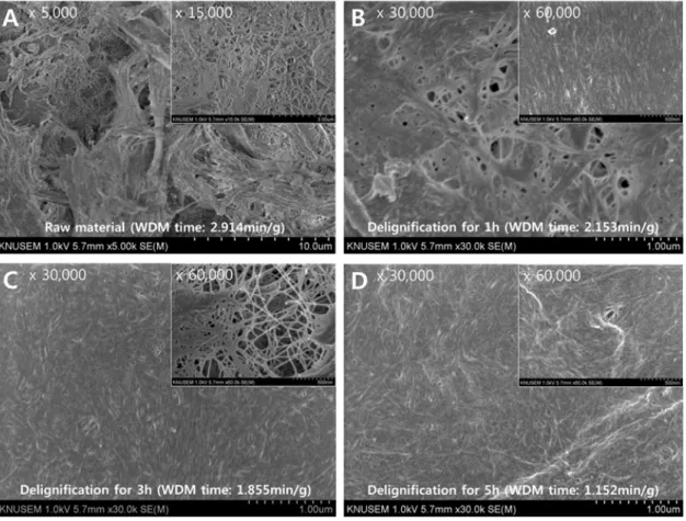 Fig. 3. Morphology of nanofibers with different delignification degree and WDM time.