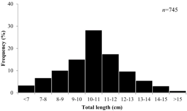 Fig. 1. Sampling areas in April and October of 2016, 2017 and 2018. 0153001530 0 1530 0 1530 0 1530 0 1530 150 152 162 172 181 183 191 193 201 203Oct., n=562016