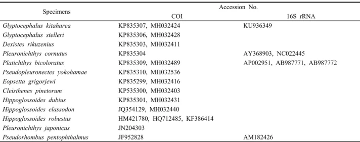 Table 2. List of comparative specimens including outgroup used in the present study