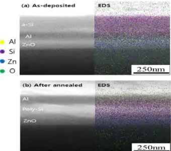 Figure  3:   Cross-sectional  SEM  images  (left)  and  EDS  mapping  images (right): (a) as-deposited sample with a stacking sequence of  α-Si/Al/ZnO/glass  and  (b)  annealed  (577  °C)  sample,  which  has  a  stacking sequence of Al/poly Si/ZnO/glass