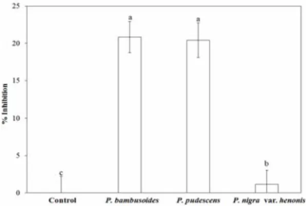 Table 2. Total  polyphenol content of steam extracts from  Phyllostachys species