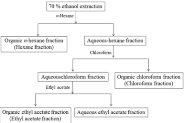 Fig. 1. Flow diagram of fractionation of S. aromaticum.