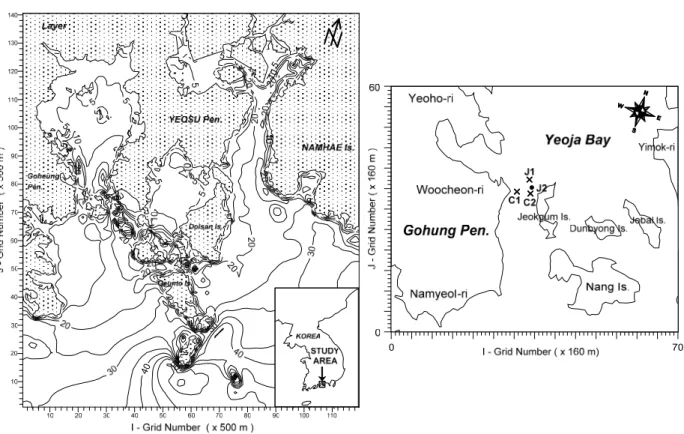 Fig.  1  Study  areas  of  far  field  (left)  and  near  field  (right)  for  numerical  model  experiments