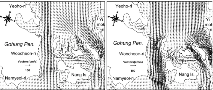 Fig.  7.  Current  vectors  at  high  water  (left)  and  low  water  (right)  in  spring  tide  around  the  west  channel  of  Yeoja  Bay.