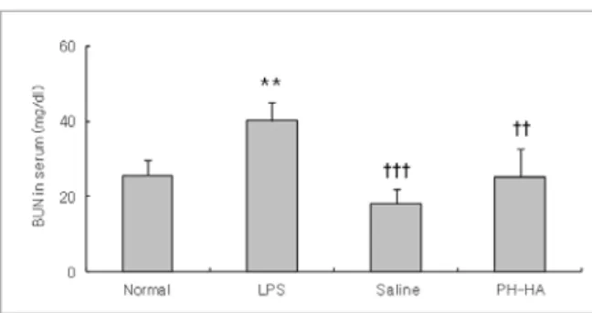 Fig. 4. Effects of PH-HA on serum BUN level  in LPS-stimulated rats