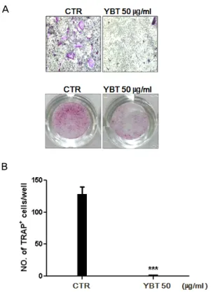 Fig.  3.  The  effects  of  CPC,  ALR  and  YBT  extracts on cell viability