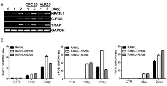 Fig. 6. Inhibitory effects of CPC and ALR extracts on RANKL-induced protein expression