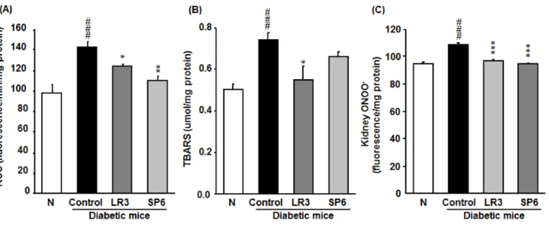 Fig.  1.  The  concentrations  of  glucose  in  the  kidney