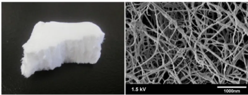 Fig. 1. Appearance (left)and FE-SEM image (right) of freeze-dried MFC.