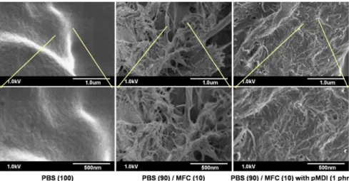 Fig. 7. Fractured surfaces of MFC-reinforced PBS nanocomposite. 4.  결    론 이소시아네이트  관능기를  가지는  pMDI를  커플링 제로서 사용하여 우수한 인장강도 및 열적 안정성을  가지는  MFC  강화  PBS  복합재료를  제조하였다