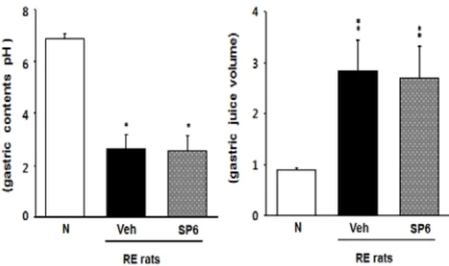 Fig. 4. Esophageal HO-1 protein expression