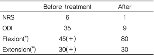 Fig. 3. L-spine MRI of case 2