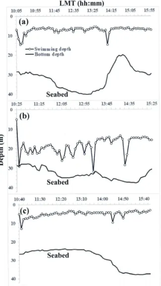 Fig. 3. Vertical behaviors of experimented fish (a) WC1, (b) WC2  and (c) WC3. White circle (○) indicates swimming depth of the fish, solid line (─), bottom depth on the movement route of the fish.