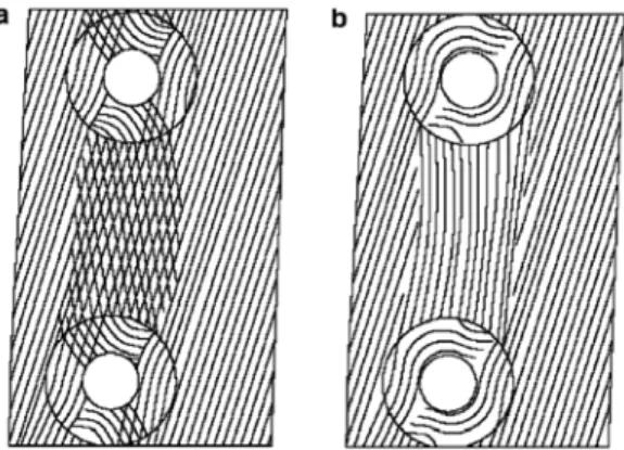 Fig. 8. Two proposed patterns of microfirils between  two bordered pits: (a) crossed microfibrils  assump-tion; (b) unidirectional microfibrils assumption  (Sedighi-Gilani et al., 2005)
