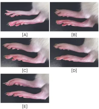 Table 1. Changes on the Paw Edema Volume after AT, W-AT0.5 and W-AT1.0 Treatments in CFA  Induced Arthritis Rats 