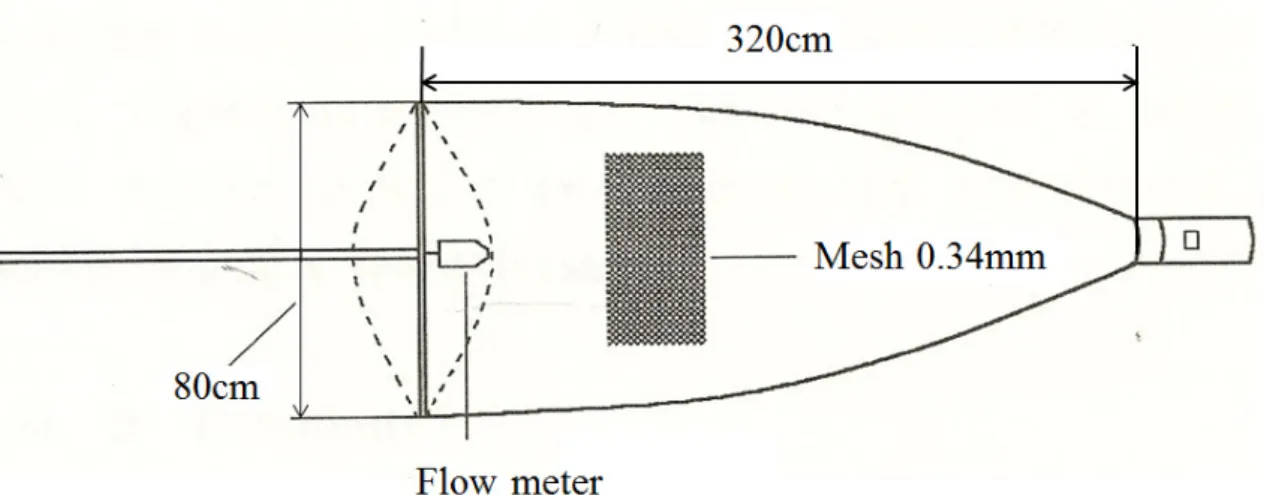 Fig. 1. Map showing the sampling area in coastal waters of Nanji Island, Korea.