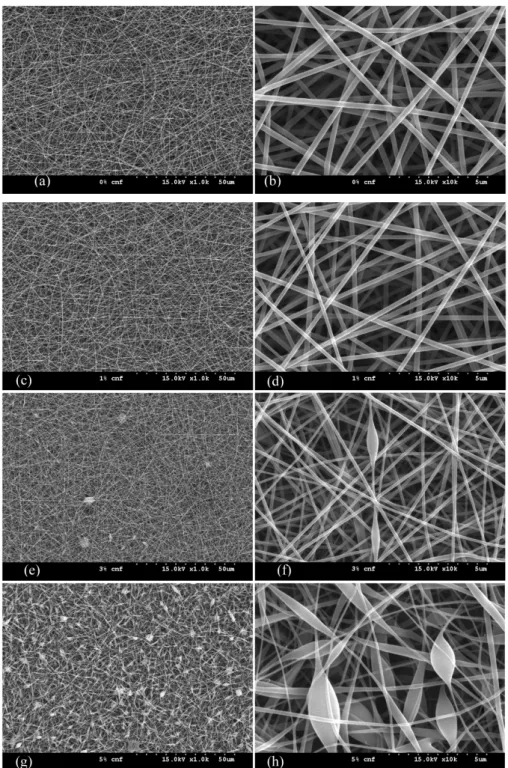 Fig. 3. The FE-SEM images of electrospun nanofibers of CNW/PVA composites at different CNF loadings