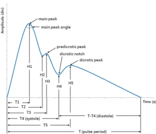 Fig.  1.  Radial  pulse  waveforms  obtained  with 5 levels of applied pressure 