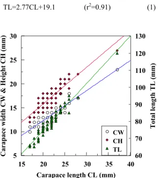 Fig. 2. The relationships between carapace lengths (CL),  carapace width (CW) and carapace height (CH) of target prawn