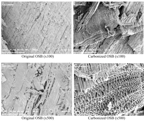 Fig. 3. SEM photographs of carbonized oriented strand board (OSB) at 600°C (×100 and 500).