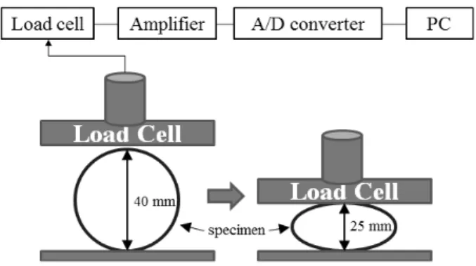 Fig. 1. Schematic diagrams for measuring the stiffness of the monofilament samples. 