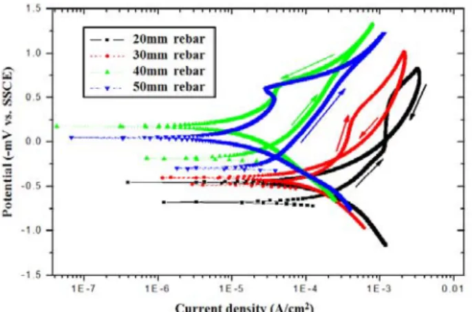 Figure  5:  Polarization  diagram  of  specimens