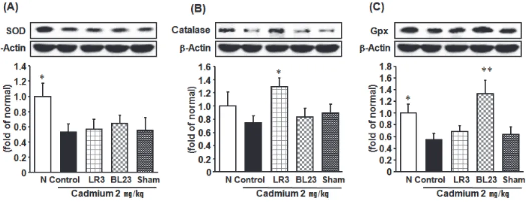 Table 3.  ROS Generation in the Serum and Liver 
