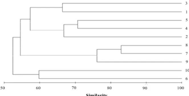 Fig. 5. A dendrogram illustrating the classification of sampling  sites in the eastern Jinhae Bay from Oct