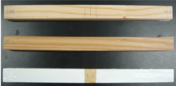 Fig. 1. The type of specimens.