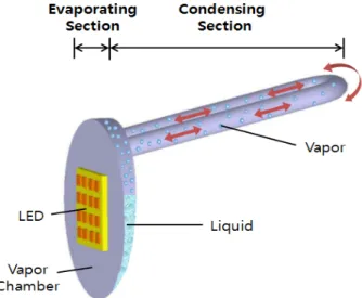 Figure  1:  Schematic  of  the  CVCHP 