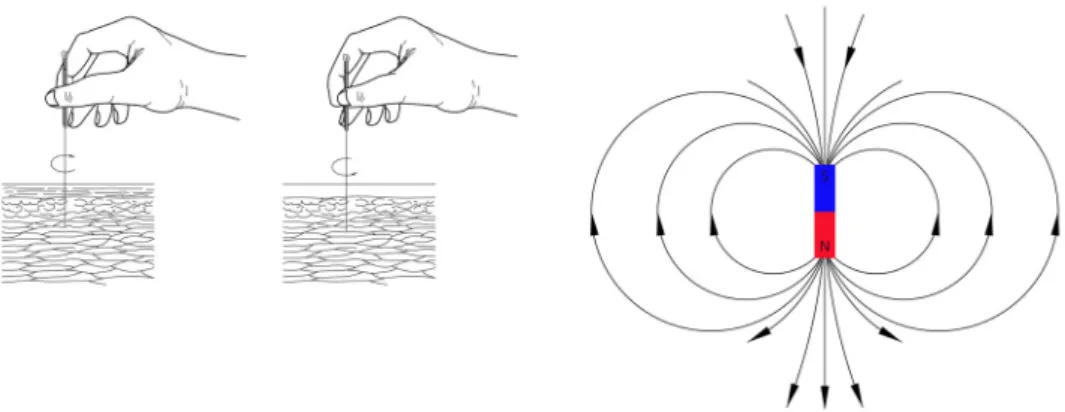 Fig.  4.  The  diagram  of  correlation  between  the  magnetized  needle  and  a  bar  magnet in twirling technique