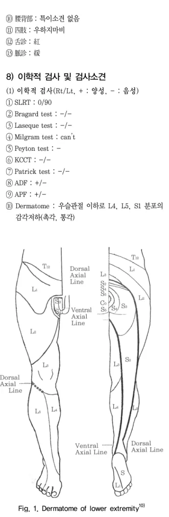 Fig. 1. Dermatome of lower extremity 10)